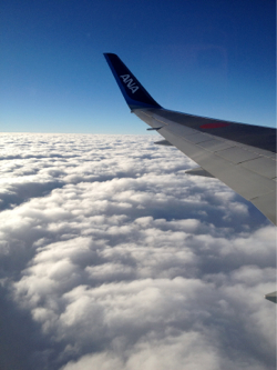 How to fly for free using travel hacking